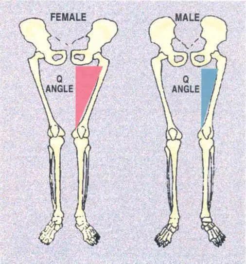 这些关于男人的冷知识，99%的女生都不知道……