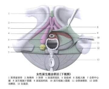 爱爱时下面流出来的水，到底多少才正常...