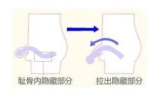 丁丁有点小,还能愉快地啪啪吗