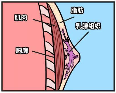 据说男人这个敏感地方，一碰就特别想要!