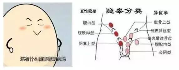 男生只剩一个蛋蛋，还能啪啪啪吗