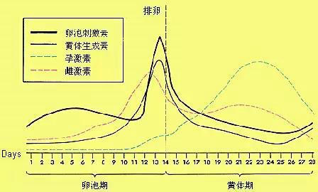 女人一般什么时候最想要爱爱