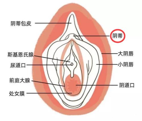 女生不容易gc怎么办