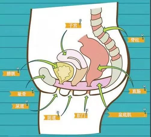 女生阴道松弛怎么办