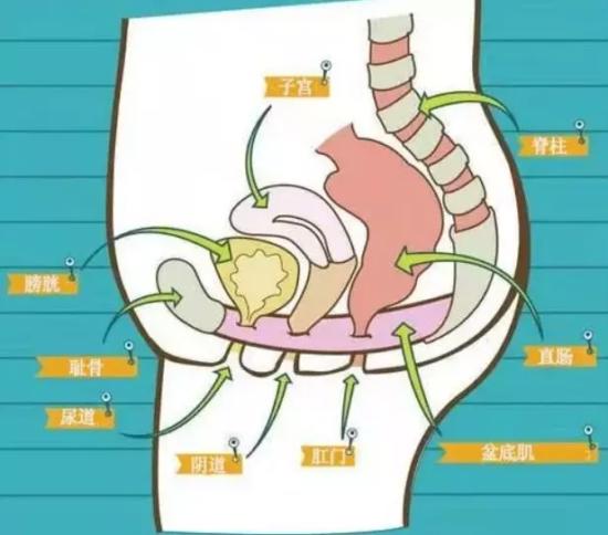 女性产后1个月迅速恢复紧致