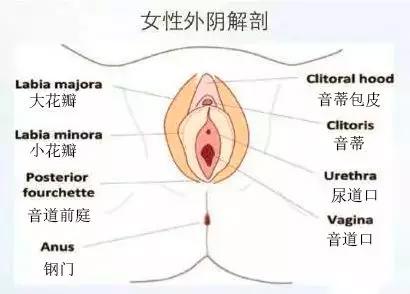 白带异常、下面味道不好闻怎么办？