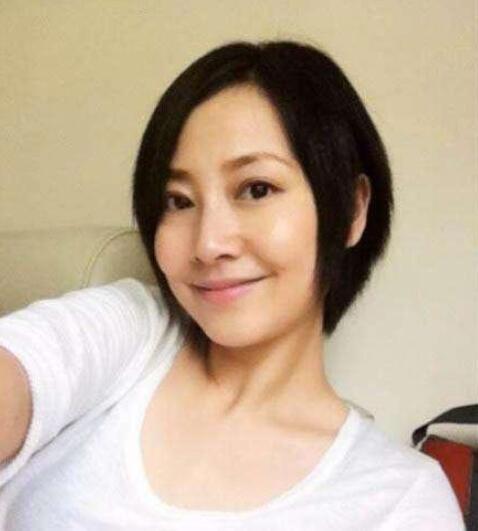 张卫健老婆张茜个人资料：张卫健老婆为什么不能生