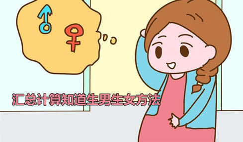 汇总计算知道生男生女方法