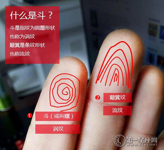 手相上有这几个斗的是富贵命：手指斗的说法介绍