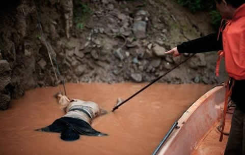 为什么职业捞尸人最怕少女:揭捞尸人三捞三不捞背后