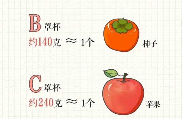 b罩杯和c罩杯有什么区别