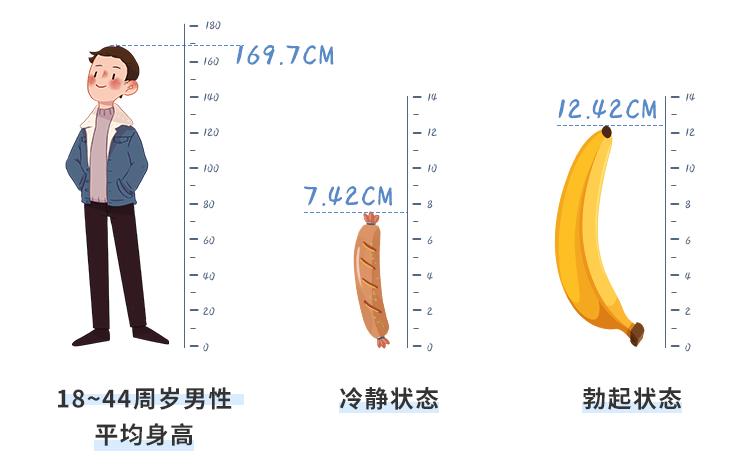 男人那里的尺寸,多少才算正常?