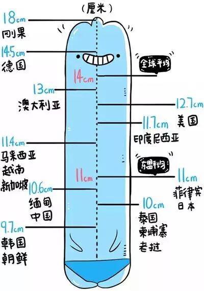 男性标准长度和粗度多少？附世界各国丁丁平均长度