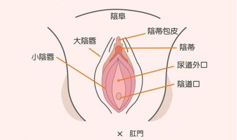 教程丨新手找不到入口准确位置怎么办