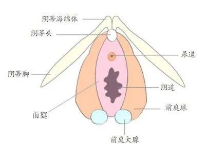 教程丨新手找不到入口准确位置怎么办