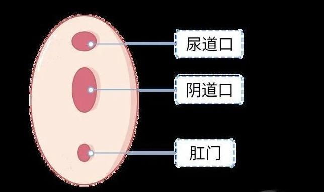 第一次怎么找到正确位置？男女必备生理知识