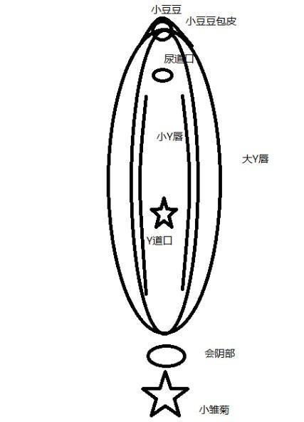 怎么判断是不是正确找到了C点位置