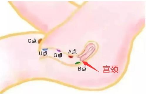 10cm真的能到宫颈吗 顶到宫颈是到底要多长