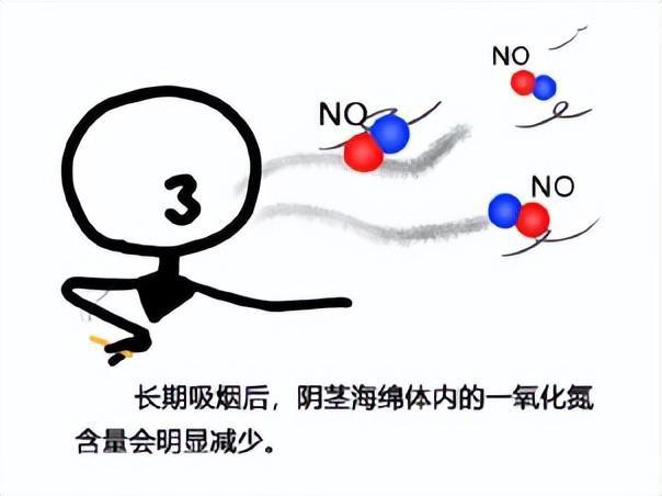 一天一包烟对性功能影响