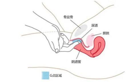 学会这2个手势 Ta 也能变身「小喷泉」