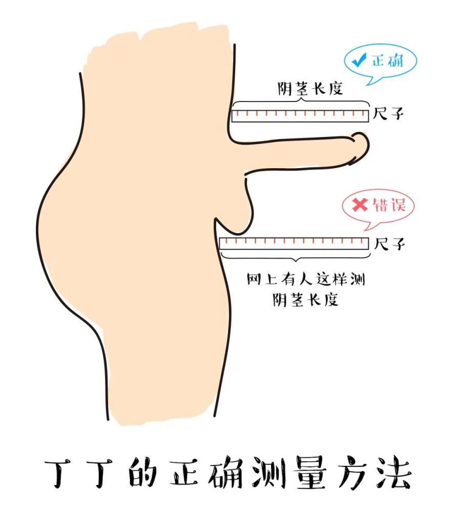 关于“叮叮”，粗长硬哪个更重要？